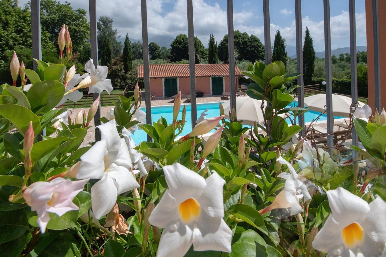 Relais Villa Isabel 피에트라산타 외부 사진